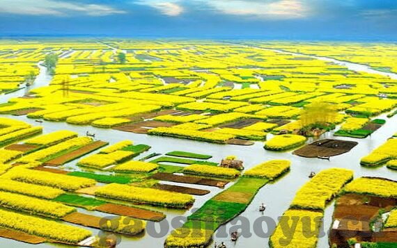 国产麻豆剧传媒精品国产av网站-国产麻豆剧传媒精品与国产AV网站的瞬间魅力
