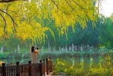 寂寞人妻-寂寞人妻，在孤独与婚姻的缝隙中寻找自我