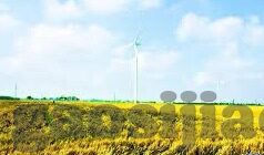伦理图片视频亚洲-伦理、图片、视频与亚洲文化的交织