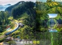 麻豆文化传媒www网站入口-麻豆秘影，网络文化的柔光角落