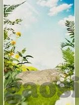 欧美一区二区在线-欧美一区二区在线，网络世界的文化交汇与探索