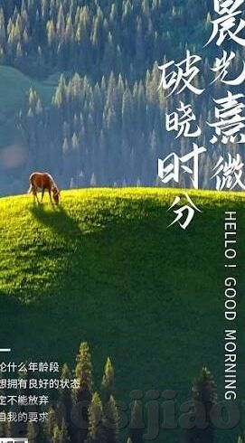 糖心app网站接口跳转-糖心APP的网址通道变化与用户体验优化