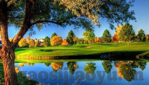 糖心vlog官网下-糖心Vlog，拓宽生活视界的创意之旅