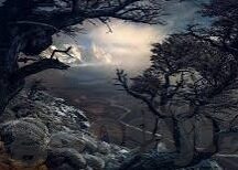 一区二区,麻豆视频-一区二区，数字化时代的多元化内容探索